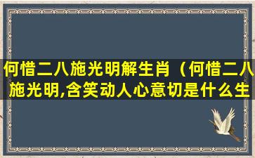 何惜二八施光明解生肖（何惜二八施光明,含笑动人心意切是什么生肖）