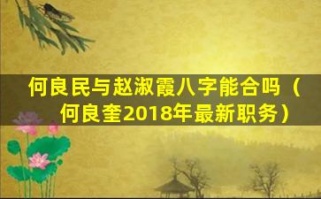 何良民与赵淑霞八字能合吗（何良奎2018年最新职务）