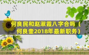 何良民和赵淑霞八字合吗（何良奎2018年最新职务）