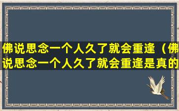 佛说思念一个人久了就会重逢（佛说思念一个人久了就会重逢是真的吗）