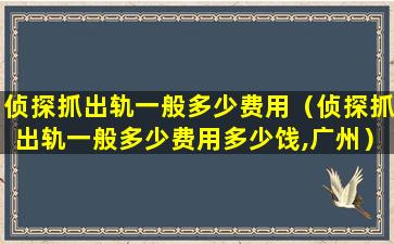 侦探抓出轨一般多少费用（侦探抓出轨一般多少费用多少饯,广州）