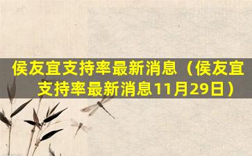 侯友宜支持率最新消息（侯友宜支持率最新消息11月29日）