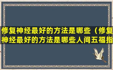 修复神经最好的方法是哪些（修复神经最好的方法是哪些人间五福指那些）