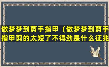 做梦梦到剪手指甲（做梦梦到剪手指甲剪的太短了不得劲是什么征兆）