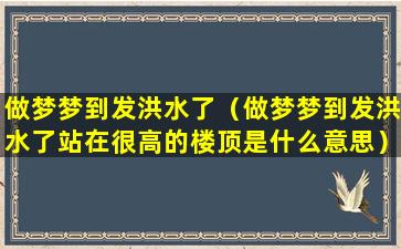 做梦梦到发洪水了（做梦梦到发洪水了站在很高的楼顶是什么意思）