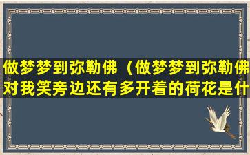 做梦梦到弥勒佛（做梦梦到弥勒佛对我笑旁边还有多开着的荷花是什么意思）