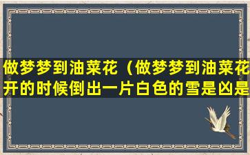 做梦梦到油菜花（做梦梦到油菜花开的时候倒出一片白色的雪是凶是吉）