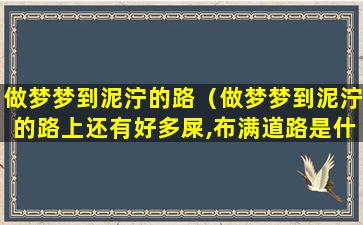 做梦梦到泥泞的路（做梦梦到泥泞的路上还有好多屎,布满道路是什么意思）