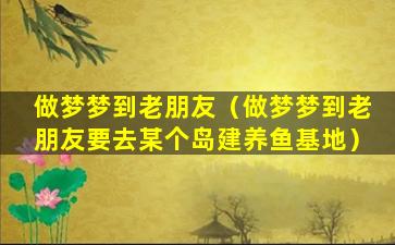 做梦梦到老朋友（做梦梦到老朋友要去某个岛建养鱼基地）