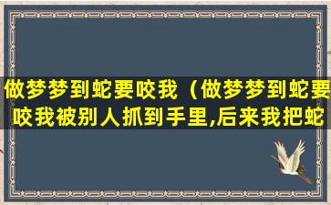 做梦梦到蛇要咬我（做梦梦到蛇要咬我被别人抓到手里,后来我把蛇打跑了）