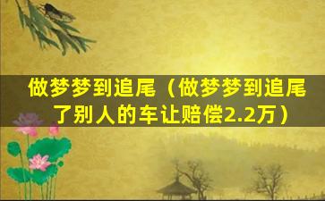 做梦梦到追尾（做梦梦到追尾了别人的车让赔偿2.2万）