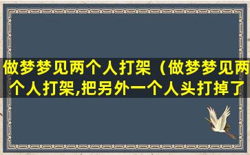 做梦梦见两个人打架（做梦梦见两个人打架,把另外一个人头打掉了）