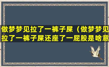 做梦梦见拉了一裤子屎（做梦梦见拉了一裤子屎还座了一屁股是啥意思）