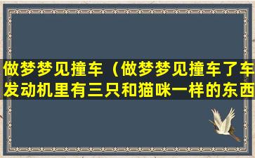 做梦梦见撞车（做梦梦见撞车了车发动机里有三只和猫咪一样的东西）