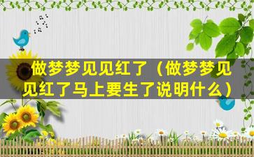 做梦梦见见红了（做梦梦见见红了马上要生了说明什么）