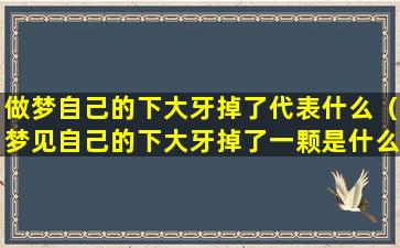 做梦自己的下大牙掉了代表什么（梦见自己的下大牙掉了一颗是什么意思）