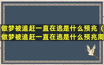 做梦被追赶一直在逃是什么预兆（做梦被追赶一直在逃是什么预兆周公解梦）