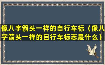 像八字箭头一样的自行车标（像八字箭头一样的自行车标志是什么）