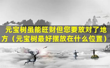 元宝树虽能旺财但您要放对了地方（元宝树最好摆放在什么位置）