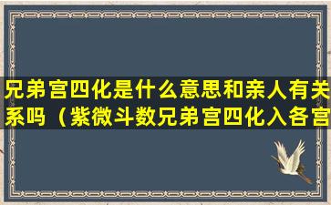 兄弟宫四化是什么意思和亲人有关系吗（紫微斗数兄弟宫四化入各宫）