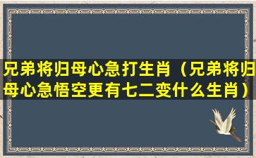 兄弟将归母心急打生肖（兄弟将归母心急悟空更有七二变什么生肖）