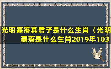 光明磊落真君子是什么生肖（光明磊落是什么生肖2019年103期）