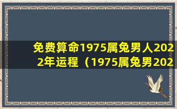 免费算命1975属兔男人2022年运程（1975属兔男2021年运势及运程算命网）