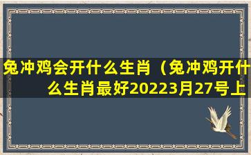 兔冲鸡会开什么生肖（兔冲鸡开什么生肖最好20223月27号上期开虎）