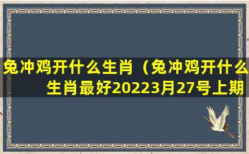 兔冲鸡开什么生肖（兔冲鸡开什么生肖最好20223月27号上期开虎）