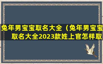 兔年男宝宝取名大全（兔年男宝宝取名大全2023款姓上官怎样取名）