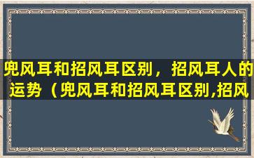 兜风耳和招风耳区别，招风耳人的运势（兜风耳和招风耳区别,招风耳人的运势）