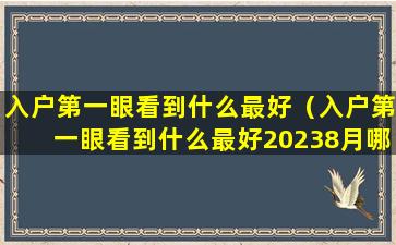 入户第一眼看到什么最好（入户第一眼看到什么最好20238月哪天收拾屋子好）