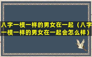 八字一模一样的男女在一起（八字一模一样的男女在一起会怎么样）