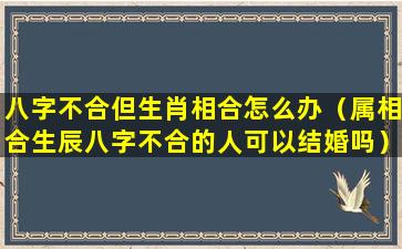 八字不合但生肖相合怎么办（属相合生辰八字不合的人可以结婚吗）