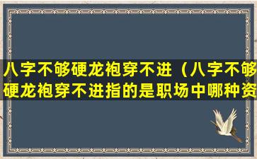 八字不够硬龙袍穿不进（八字不够硬龙袍穿不进指的是职场中哪种资源类型）