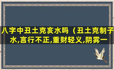 八字中丑土克亥水吗（丑土克制子水,言行不正,重财轻义,阴雾一生）