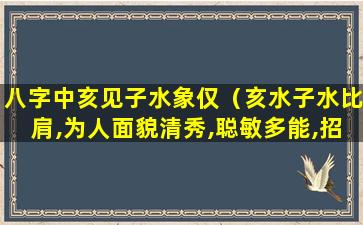 八字中亥见子水象仅（亥水子水比肩,为人面貌清秀,聪敏多能,招蜂引蝶）