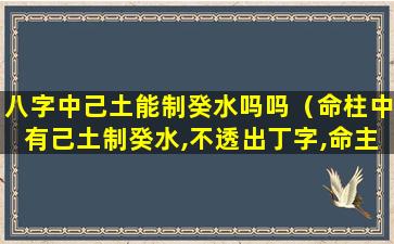 八字中己土能制癸水吗吗（命柱中有己土制癸水,不透出丁字,命主便居官显达）