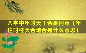 八字中年时天干合是何意（年柱时柱天合地合是什么意思）