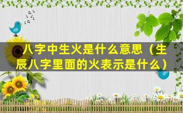 八字中生火是什么意思（生辰八字里面的火表示是什么）