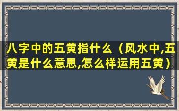 八字中的五黄指什么（风水中,五黄是什么意思,怎么样运用五黄）