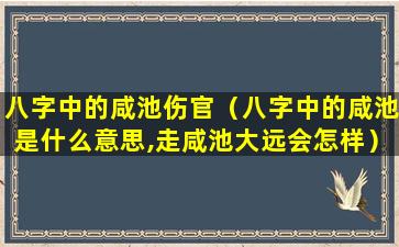 八字中的咸池伤官（八字中的咸池是什么意思,走咸池大远会怎样）