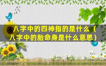 八字中的四神指的是什么（八字中的胎命身是什么意思）