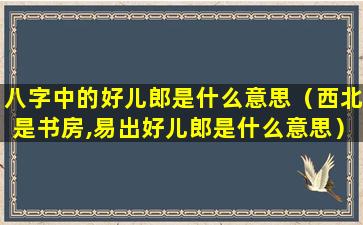 八字中的好儿郎是什么意思（西北是书房,易出好儿郎是什么意思）