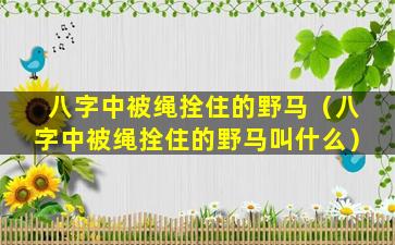 八字中被绳拴住的野马（八字中被绳拴住的野马叫什么）