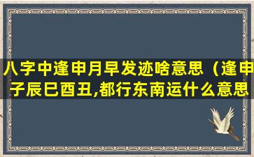 八字中逢申月早发迹啥意思（逢申子辰巳酉丑,都行东南运什么意思）