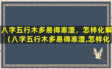 八字五行木多易得寒湿，怎样化解（八字五行木多易得寒湿,怎样化解）