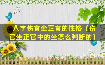 八字伤官坐正官的性格（伤官坐正官中的坐怎么判断的）