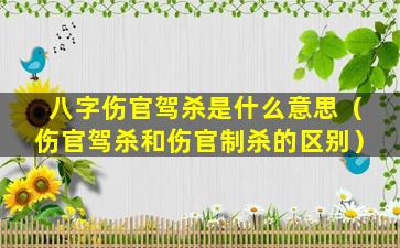 八字伤官驾杀是什么意思（伤官驾杀和伤官制杀的区别）