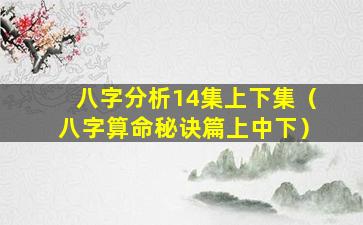 八字分析14集上下集（八字算命秘诀篇上中下）